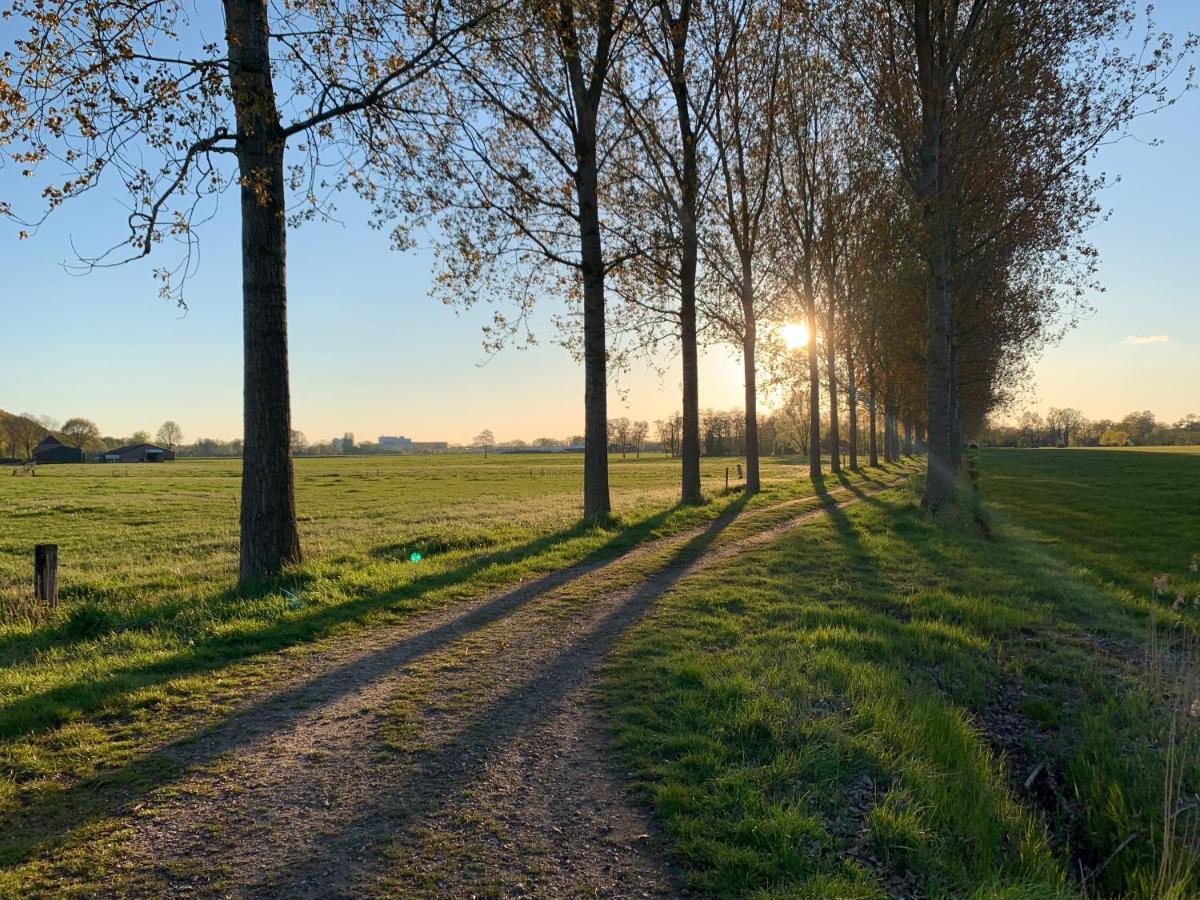B&B Op3 Aarle-Rixtel Exteriör bild